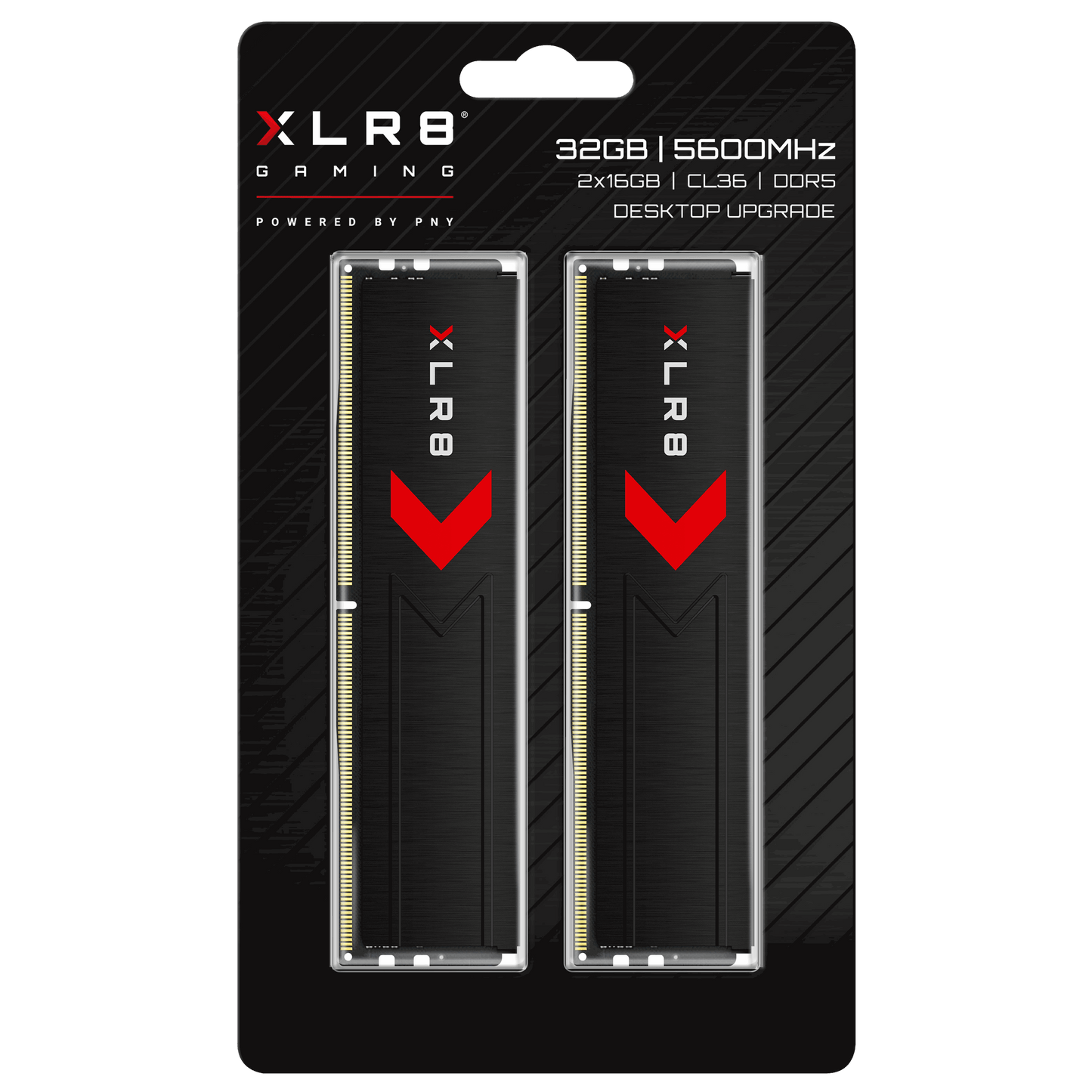 Memoria RAM DDR5 32GB (2x16) 5600MT/s PNY XLR8